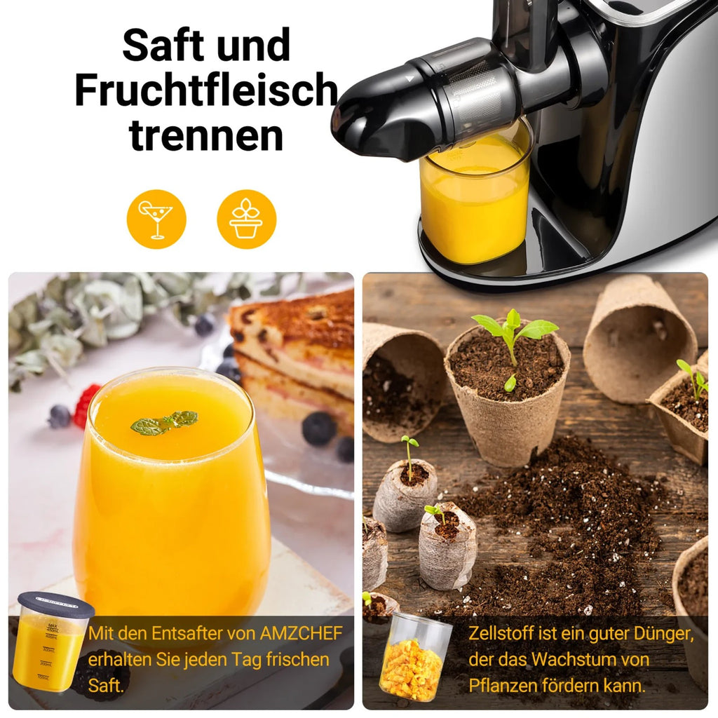 AMZCHEF Slow Juicer Entsafter mit 2 Geschwindigkeitsmodi mit Tragbarer Flasche