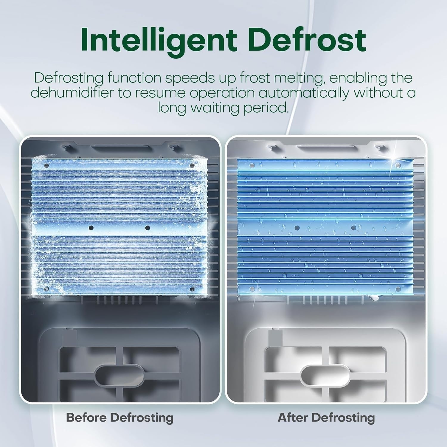 CONOPU Elektrischer Luftentfeuchter für Zuhause 2300 ml Schlafzimmer Badezimmer