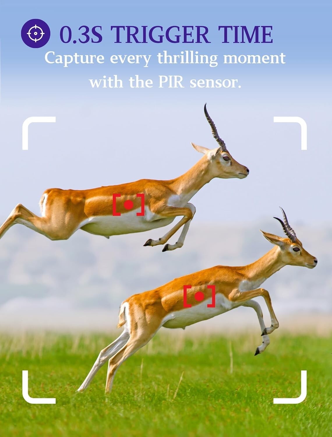 BlazeVideo A252 Wildkamera 48MP 1296P HD Nachtsicht IP66 Outdoor Jagdkamera