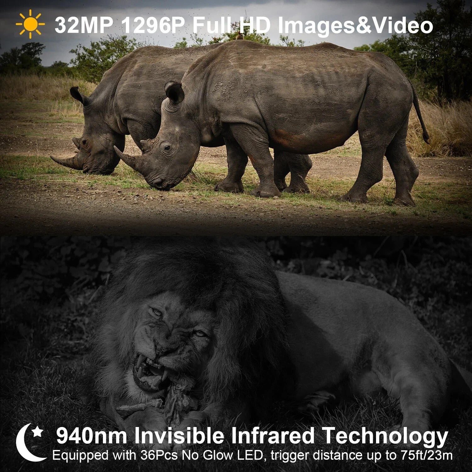 BlazeVideo A252 Wildkamera 32MP 1296P HD Nachtsicht IP66 Outdoor Jagdkamera