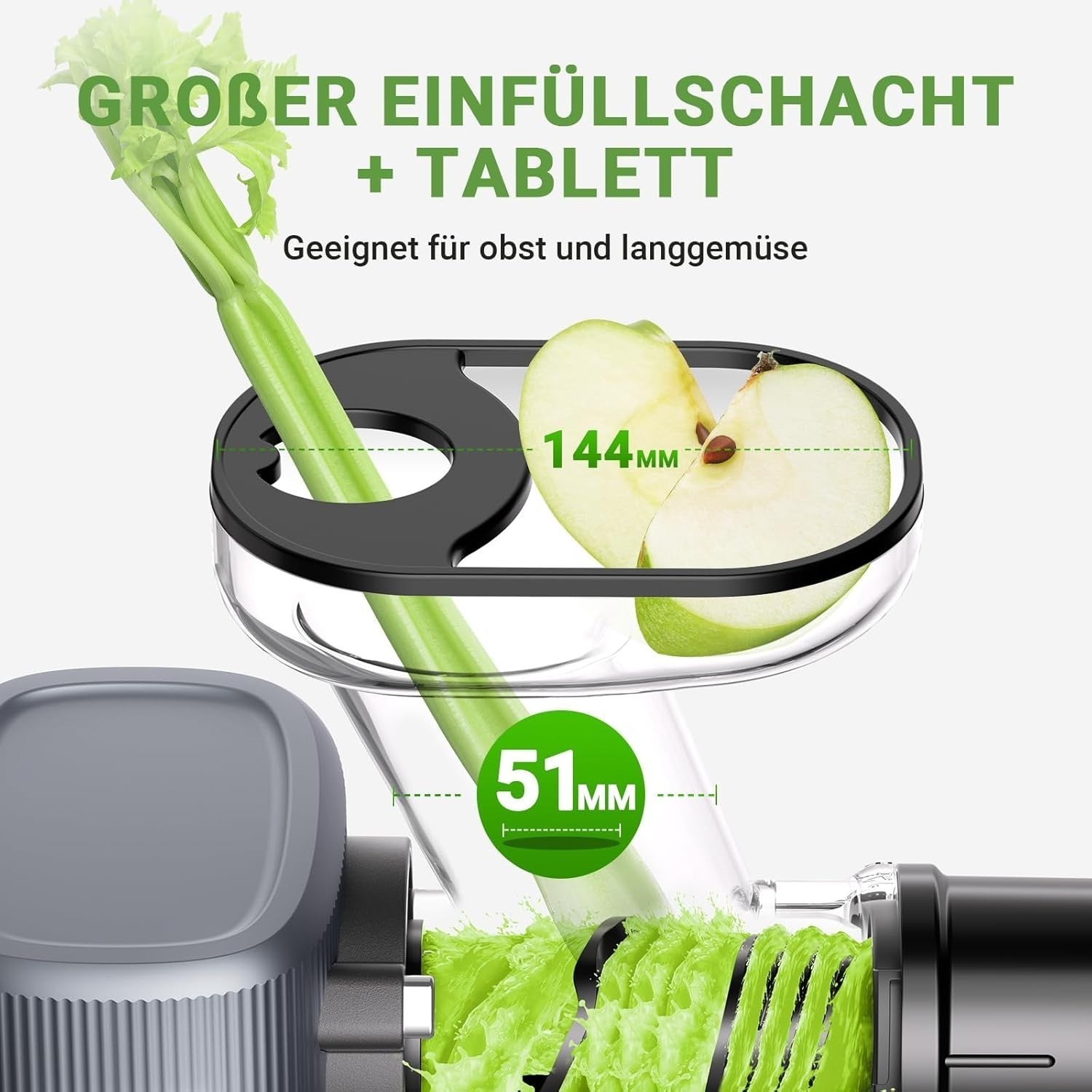 AMZCHEF Kompakt Entsafter Slow Juicer  Gemüse und Obst mit Zwei Zuführungsmodi