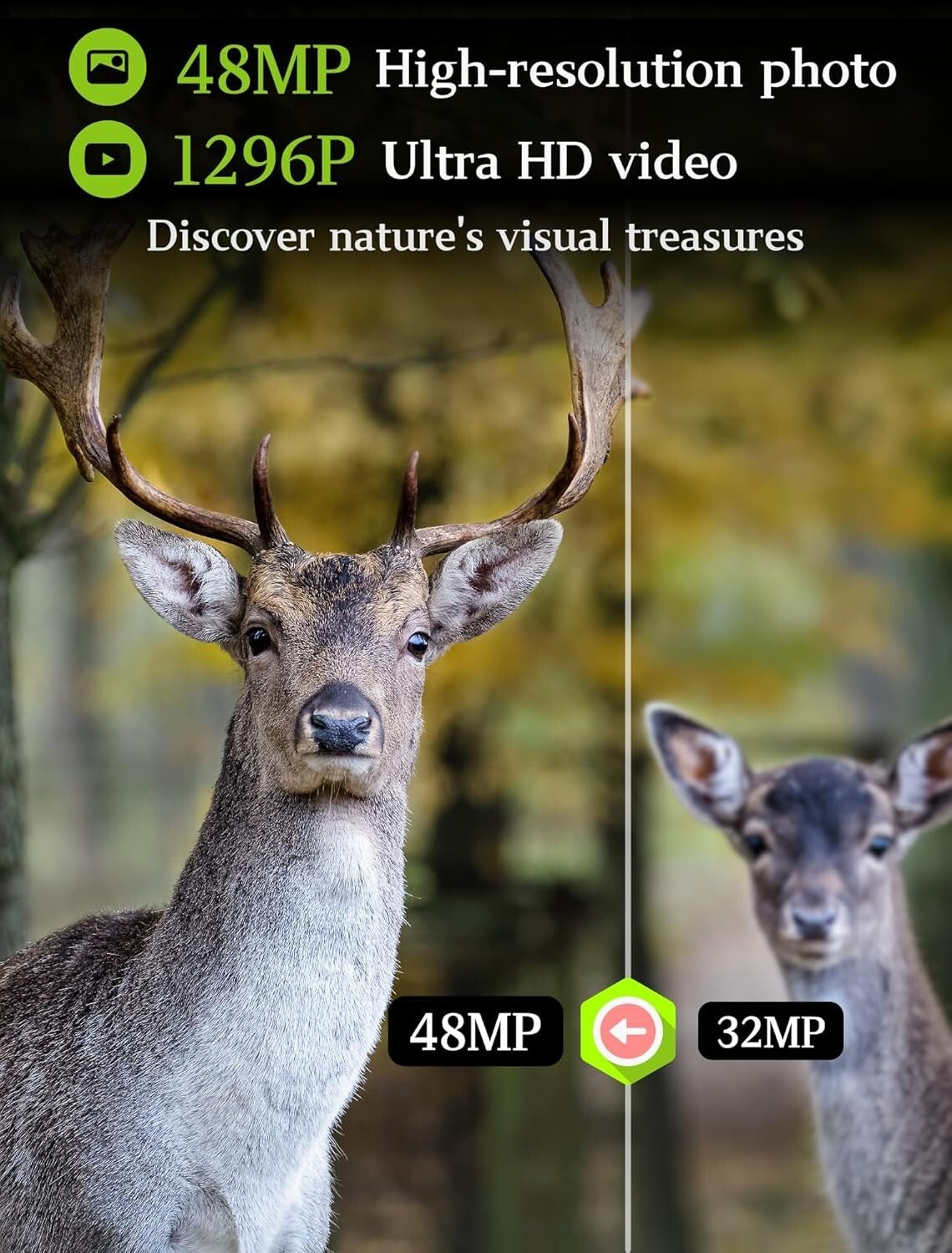 BlazeVideo A252 Wildkamera 48MP 1296P HD Nachtsicht IP66 Outdoor Jagdkamera